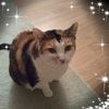 amandajohnson49
